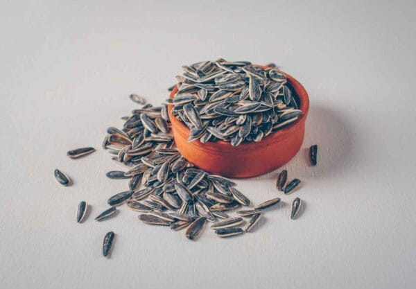 Sunflower Seed (سورج مکھی کے بیج) in a bowl