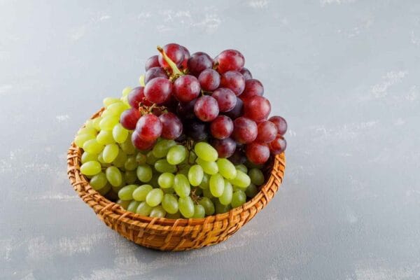 Tangy Grapes Thriving in Pakistan's Winter Climate