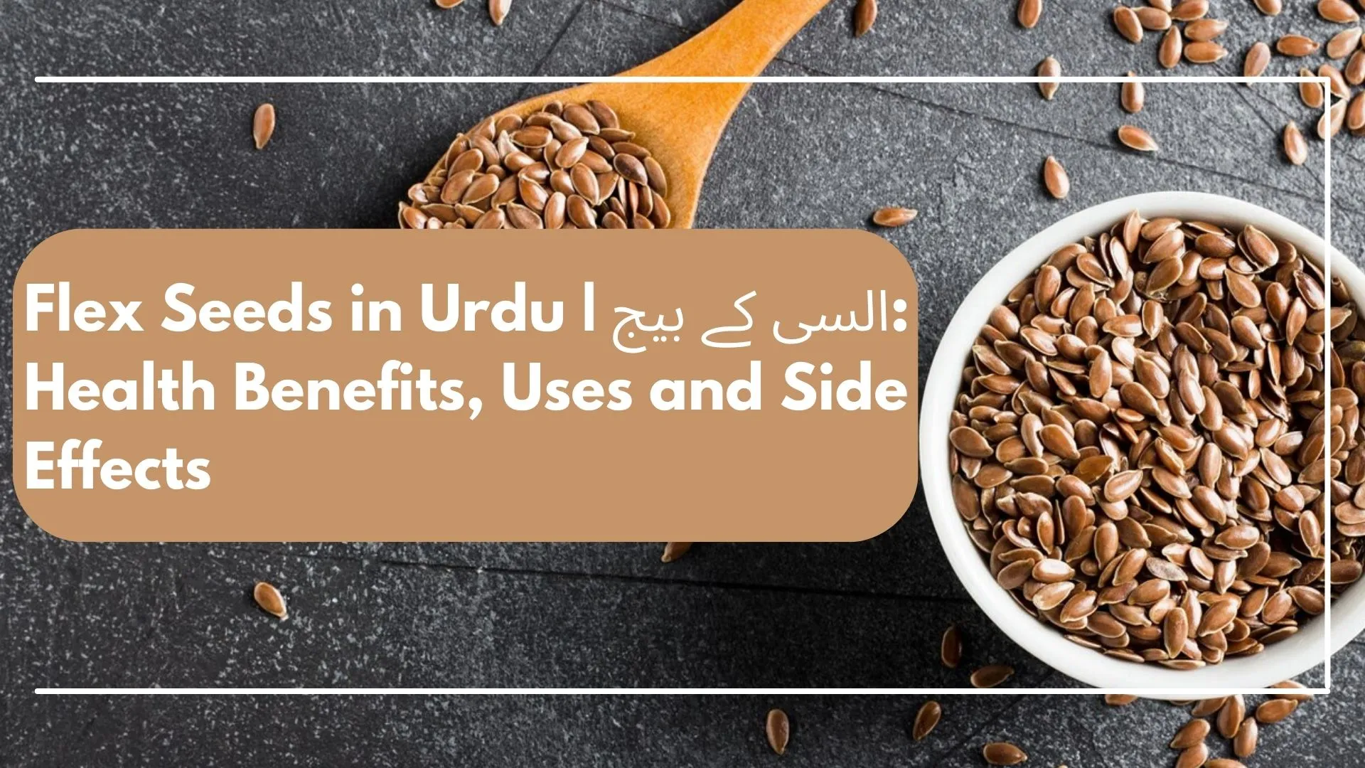 Flax Seeds in Urdu - Health Benefits and Uses