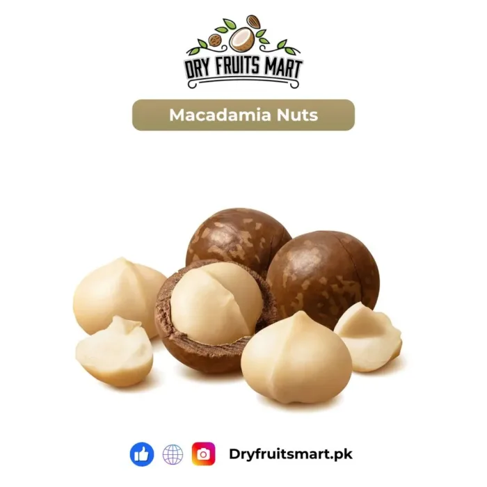 Macadamia Nuts Price in Pakistan – Fresh & Premium Quality