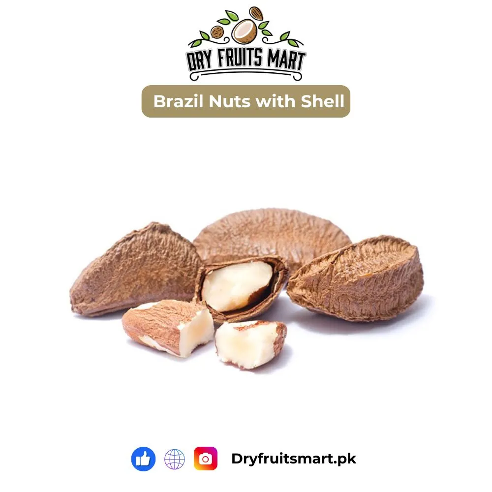 Brazil nuts with Shell Price in Pakistan – Buy Online