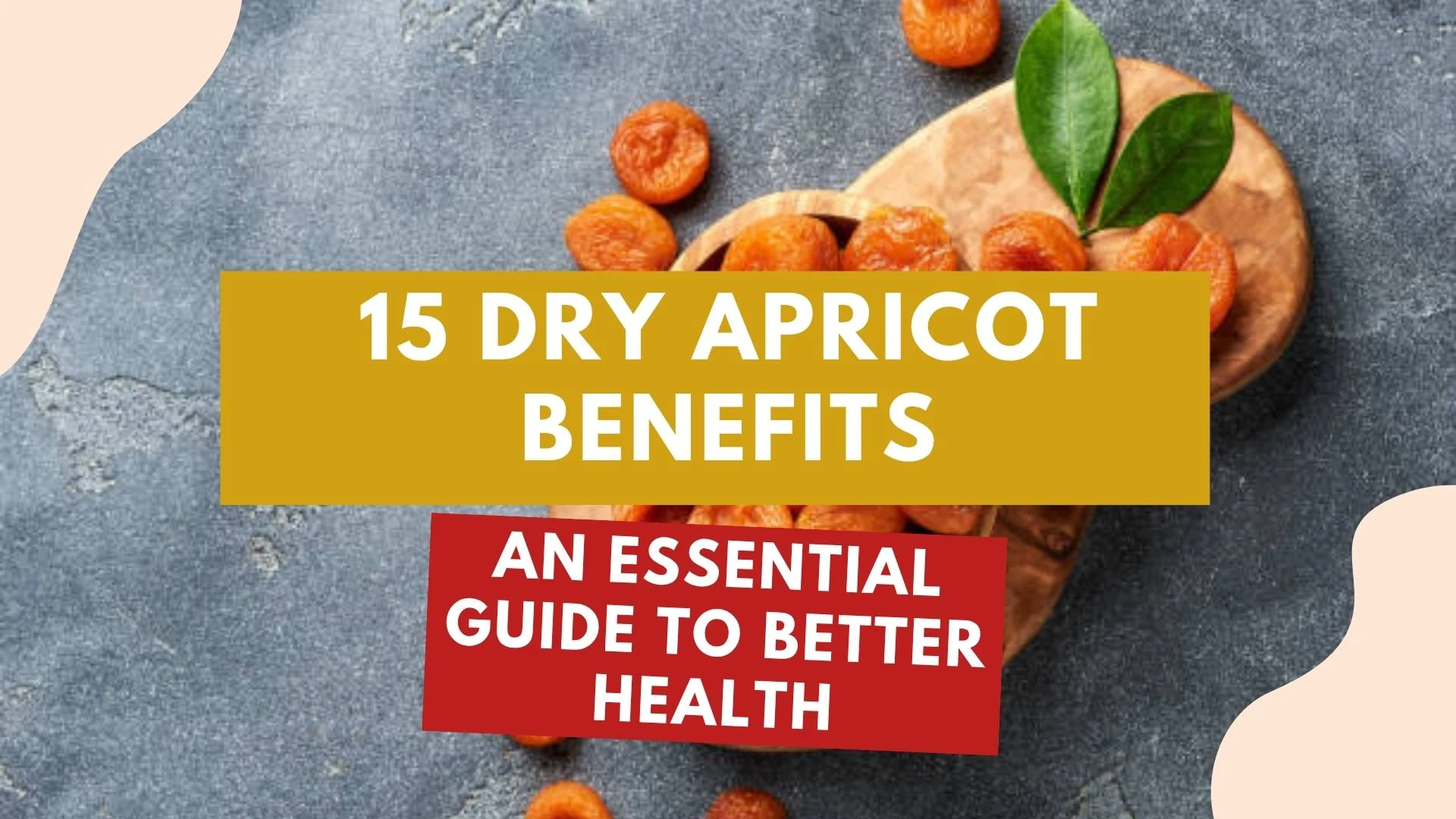 Dry apricot benefits for health including digestion, skin, and immunity