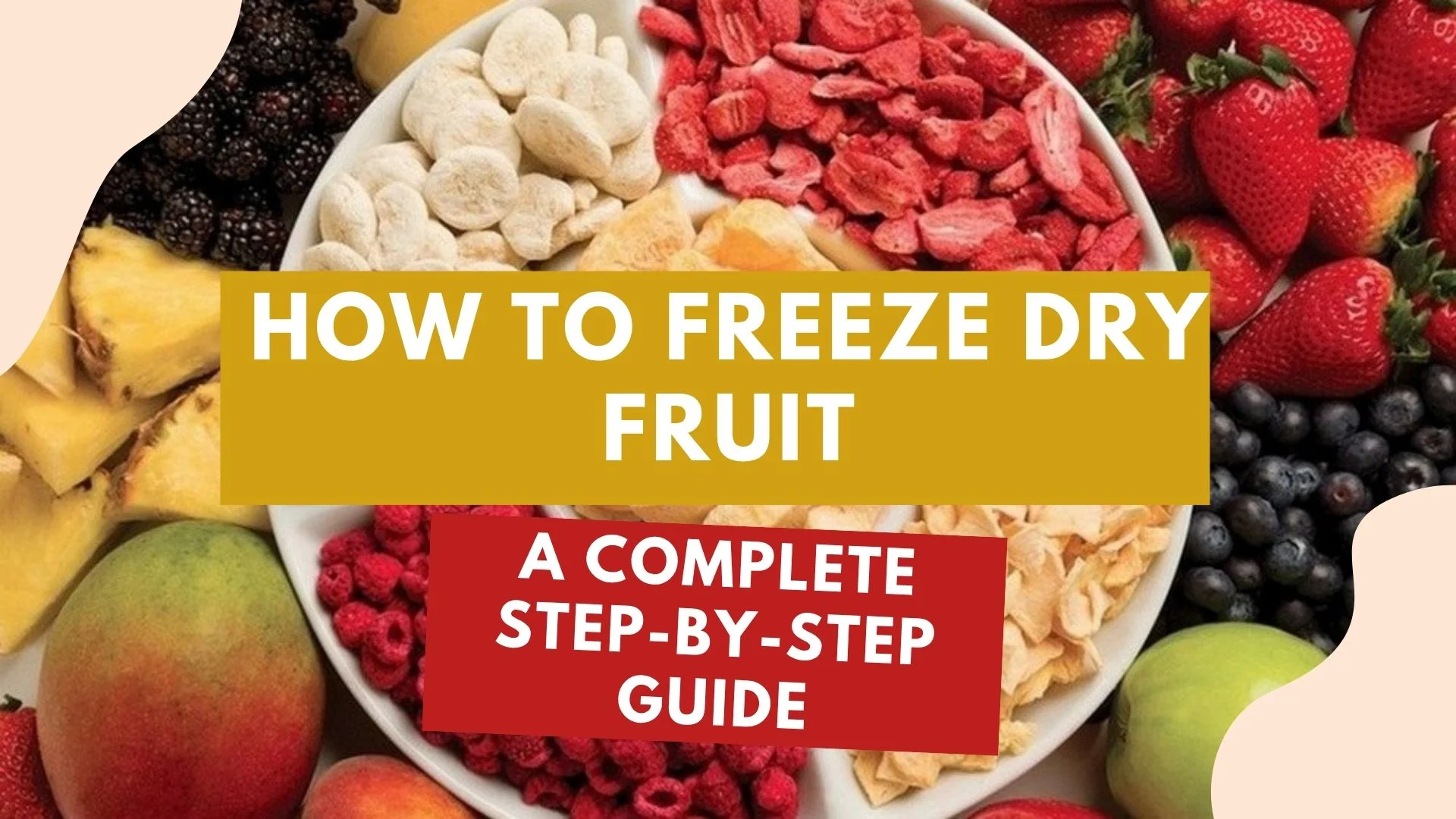 how to freeze dry fruit step by step guide 2026
