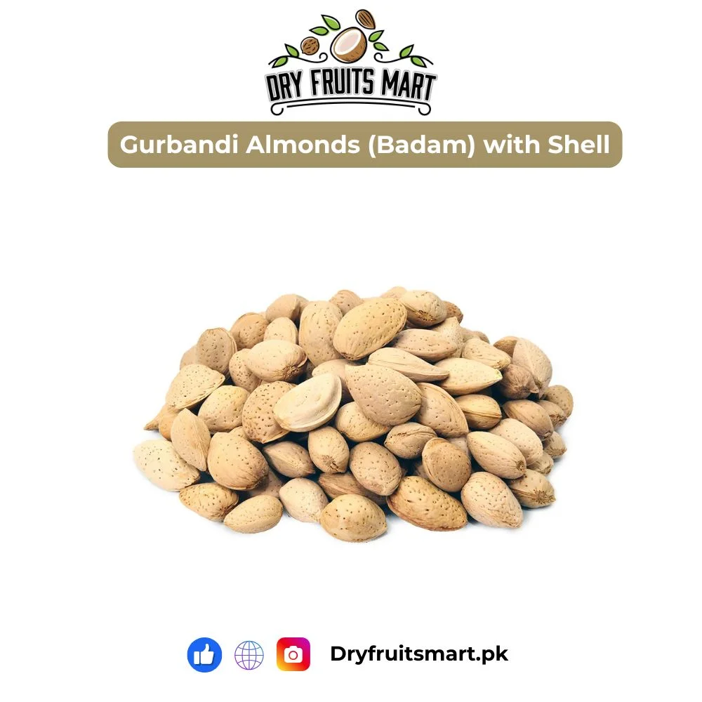 Premium Gurbandi Almonds (Badam) with Shell fresh and naturally crunchy